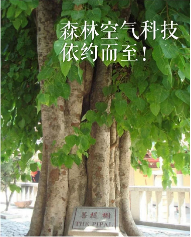 1669354222563948.png